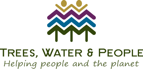 Trees Water People